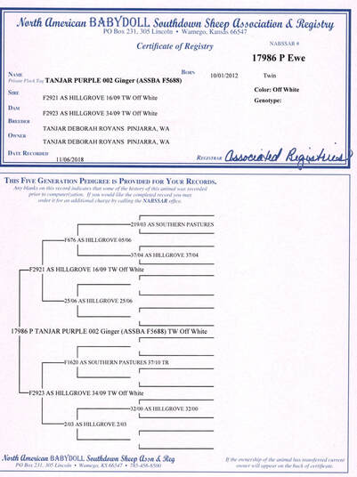 NABSSAR Registration Certificate